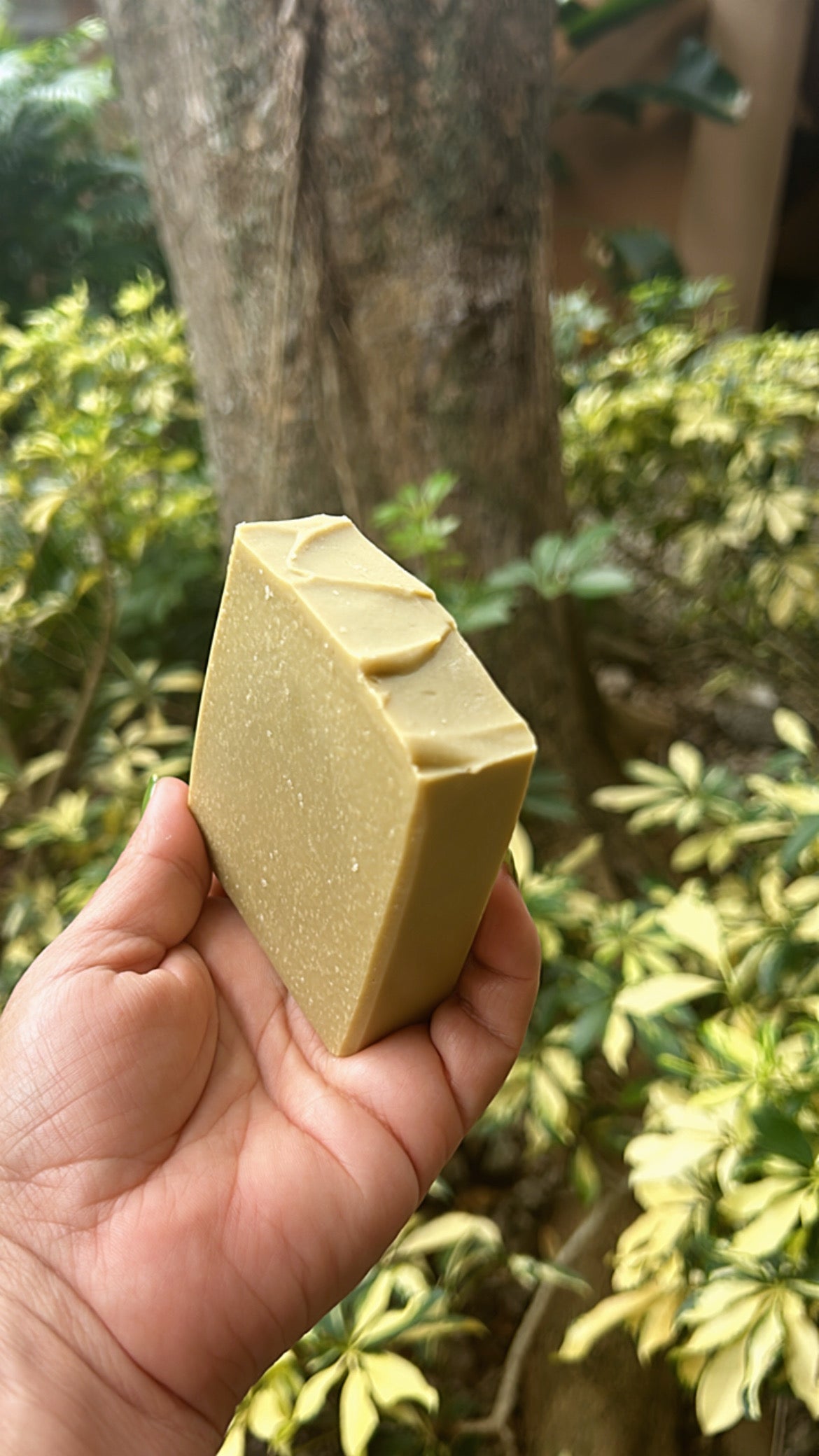 Laurel Berry aka Aleppo soap